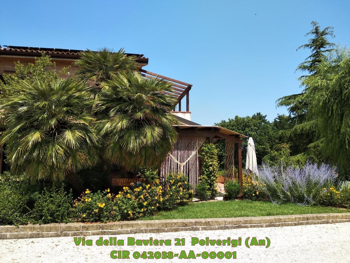 B&B Timeout Polverigi Esterno foto